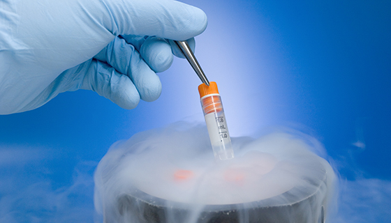 Frozen Embryo Transfer (FET) - maa fartility